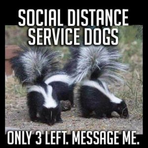 FB_IMG_1595271627874.jpg