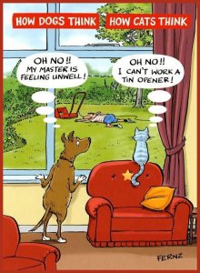 howdogsandcatsthink.jpg