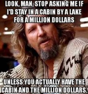 cabinmillion.jpg
