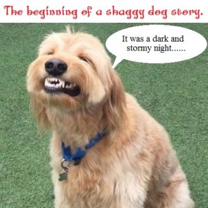 shaggy.jpg