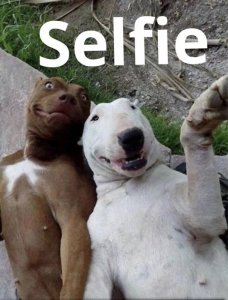 selfie.jpg