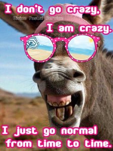 iamcrzy.jpg