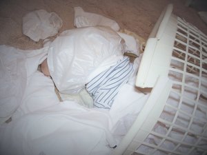 000_1946 (9).JPG