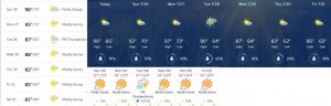 weather.jpg