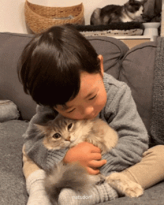 tumblr_e73be4170f0e2cd6371d527574f319a3_8f6d3d5a_400.gif