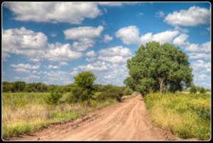 late-summer-ks-1.jpg