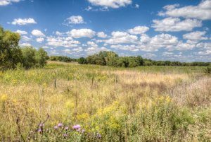 late-summer-ks-3.jpg