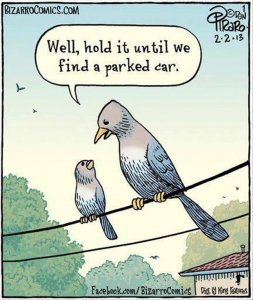 Funny Pictures Of The Day - 61 Pics.jpeg