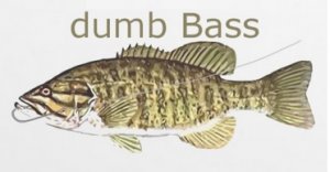dumb bass.jpg