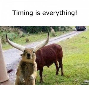 timingiseverth.jpg