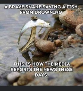 314FB012-6CA6-4FC3-B41B-A83D12C751A7.jpeg
