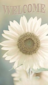 4c387a32e87b32030ccba24d566f0a99--tips-pinterest.jpg