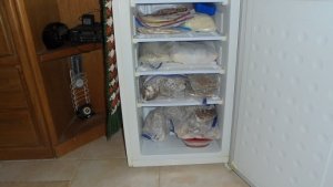 meals.JPG
