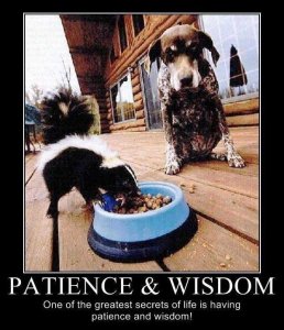 patience-and-wis.jpg