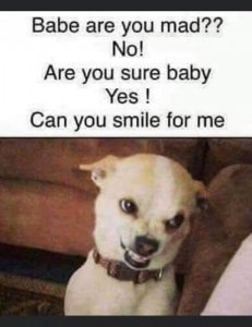 FB_IMG_1596402276076.jpg