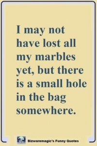 Top 14 Funny Quotes From Bizwaremagic.jpeg