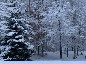 986CF01D-969D-4B76-998E-59E37E5D7659.jpeg