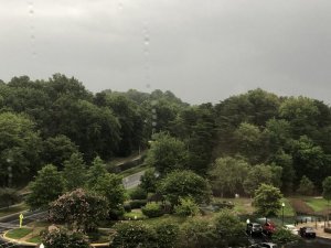 IMG_4531[1].JPG