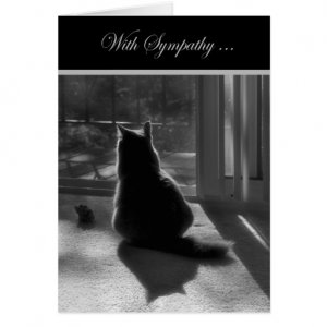 sympathy Cat_loss_of_cat_card-rdc33216f6fb742559fb52afc7396ac82_xvuat_8byvr_512.jpg