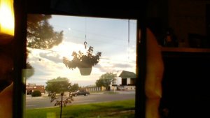 WIN_20200805_19_15_50_Pro.jpg