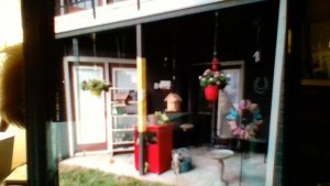 WIN_20200805_19_42_01_Pro.jpg