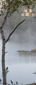 Fog mist 6 aug.jpg