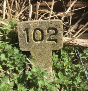 Number 102 @.jpg