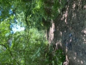 C7E9EC8A-57F7-4AE2-8D45-C55830631CCE.jpeg