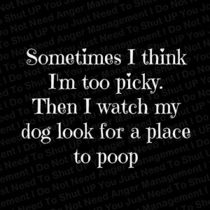 10 Funny Thoughts All Dog Lovers Must Read.jpeg