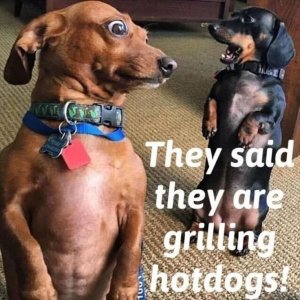 hotdogs.jpg