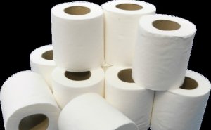 download-Toilet-paper-png-transparent-images-transparent-backgrounds-tissue-paper-rolls-premiu...jpg