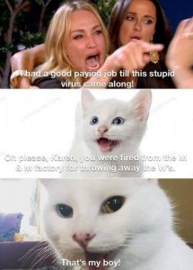 karencat.jpg