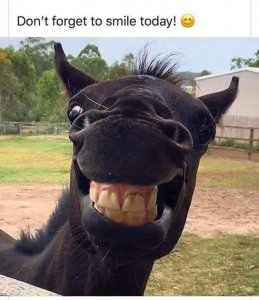 smile.jpg