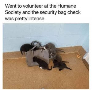 humanes.jpg