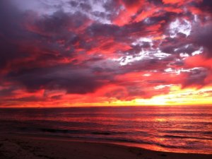 52B8817F-E8AD-4CAD-A499-1F447C5D5A18.jpeg