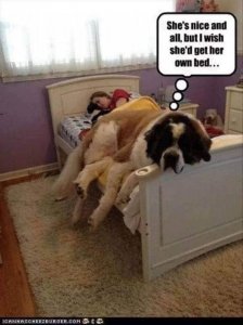 herownbed.jpg