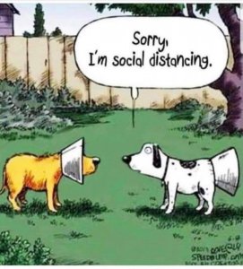 socdist.jpg