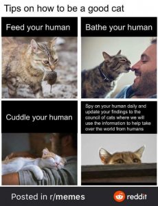 FB_IMG_1597018624955.jpg