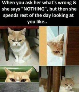 FB_IMG_1596928089388.jpg