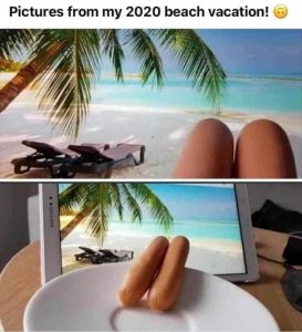 396E222F-2387-4884-9994-B87E54386C46.jpeg