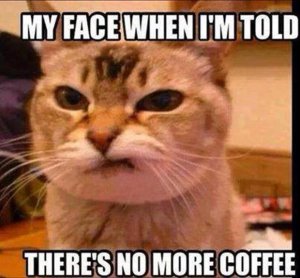 5cat-coffee.jpg