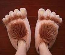 Shoes @.jpg