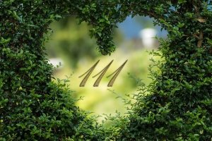 111-meaning-in-love.jpg