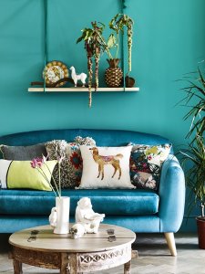 teal-velvet-sofa-teal-walls.jpg