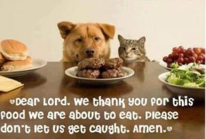 thanksforfood.jpg