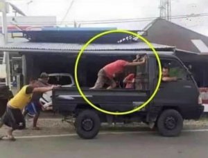 smart or dumb.jpg