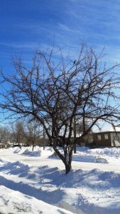 20170213_120458.jpg