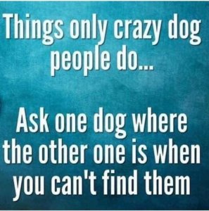 crazydogpeople.jpg