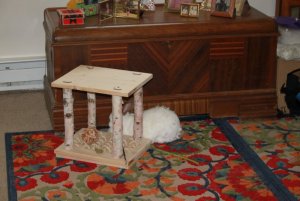 bunny.JPG