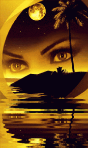 c6ccf4b80d329439275e19820405d98a.gif